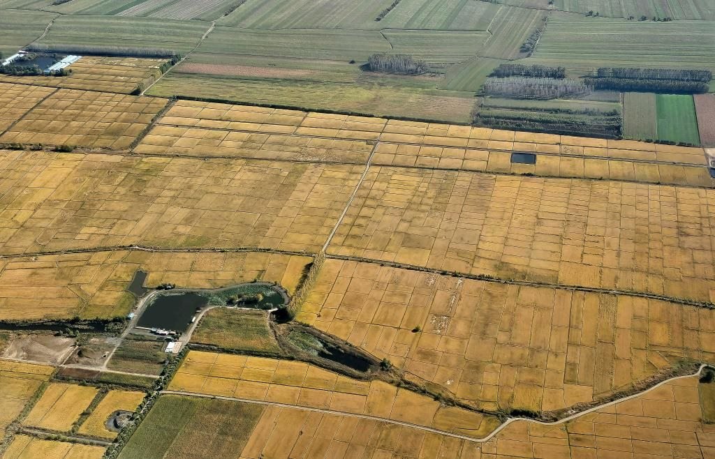 俯瞰黑龍江省哈爾濱市一處稻田（10月2日攝，無(wú)人機(jī)照片）。新華社記者 孫曉宇 攝