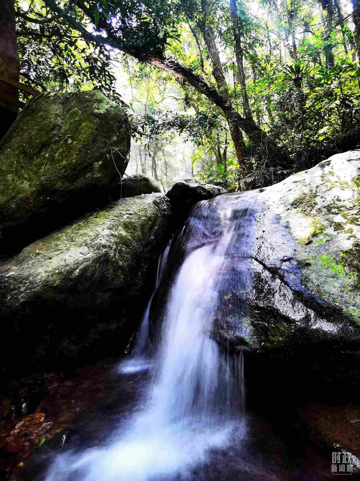 海南五指山。（總臺央視記者劉琦拍攝）