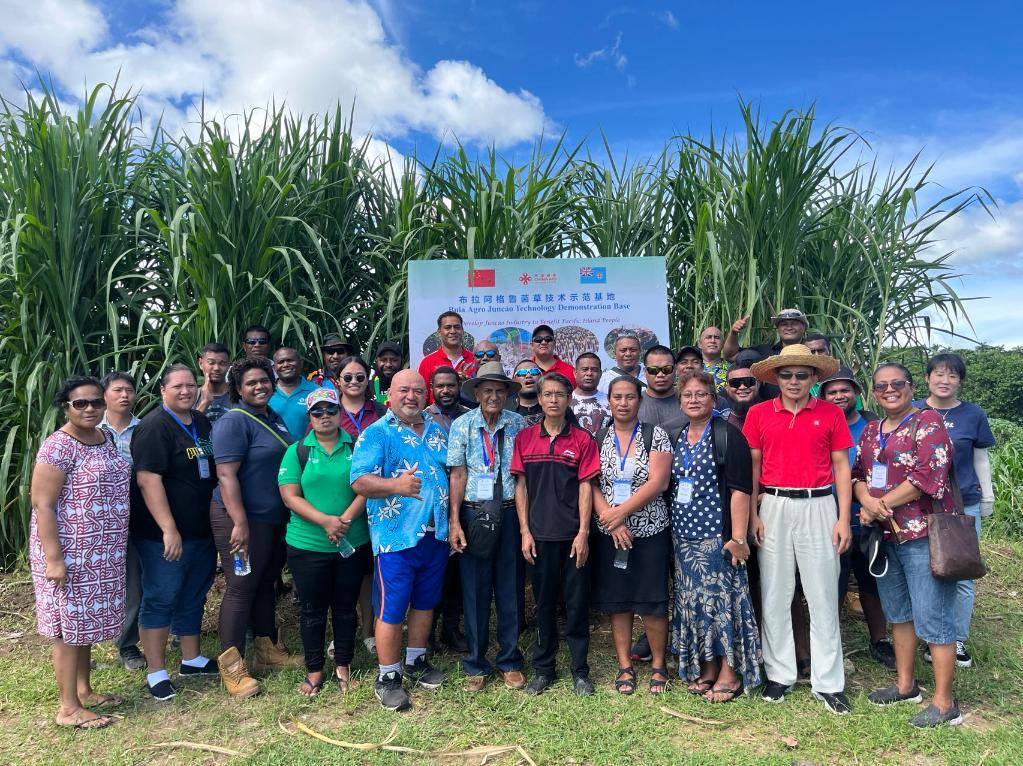 2024年2月28日，來自巴布亞新幾內(nèi)亞、湯加、庫克群島、薩摩亞、瑙魯?shù)葒业摹疤窖髰u國菌草技術(shù)培訓(xùn)班”學(xué)員在斐濟布拉阿格魯菌草技術(shù)示范基地合影。新華社發(fā)（中國援斐濟菌草技術(shù)示范中心供圖）