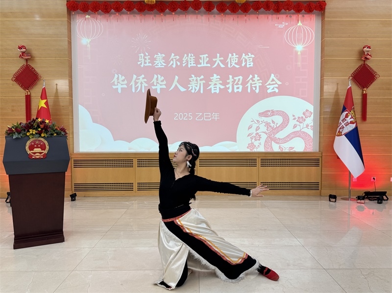 招待會現(xiàn)場表演。諾維薩德孔子學(xué)院供圖