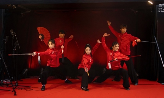 武術(shù)表演。中國(guó)駐芬蘭大使館供圖