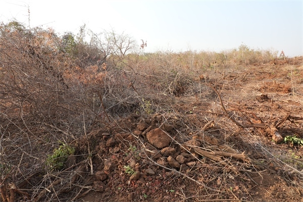 施工現(xiàn)場。張曉昆攝