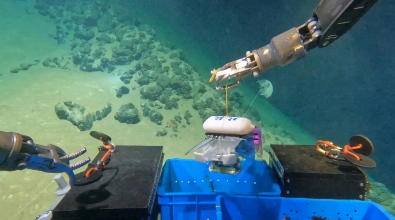 北航深海小型機(jī)器人在深海測試。校方供圖