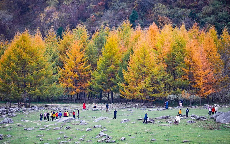2023年10月27日，深秋時(shí)節(jié)的陜西秦嶺太子嶺五彩斑斕，進(jìn)入最佳觀賞期。