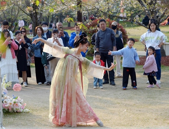 清明假期期間，上海顧村公園櫻花島上，游客在觀賞國風漢服快閃表演。（圖片來源：視覺中國）