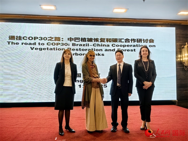 中國國家林業(yè)和草原局副局長李云卿（右二）、巴西環(huán)境和氣候變化部部長瑪麗娜·席爾瓦（左二）、巴西財政部副部長羅熙丹（右一）、巴西駐華大使館公參樂美（左一）出席“通往COP30之路：中巴植樹造林和碳匯合作研討活動”。人民網(wǎng)記者 符園園攝