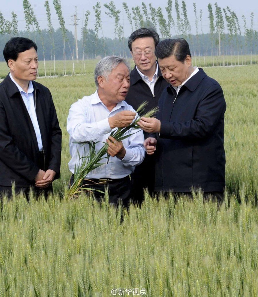 2014年5月，習(xí)近平總書記在河南省尉氏縣張市鎮(zhèn)高標(biāo)準(zhǔn)糧田察看小麥長勢。