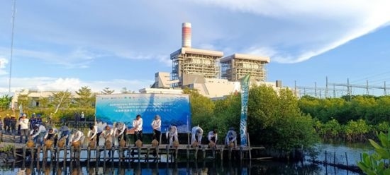 5月18日，中印尼嘉賓在爪哇7號燃煤電站舉行紅樹林補(bǔ)植儀式。記者 曹凱 攝