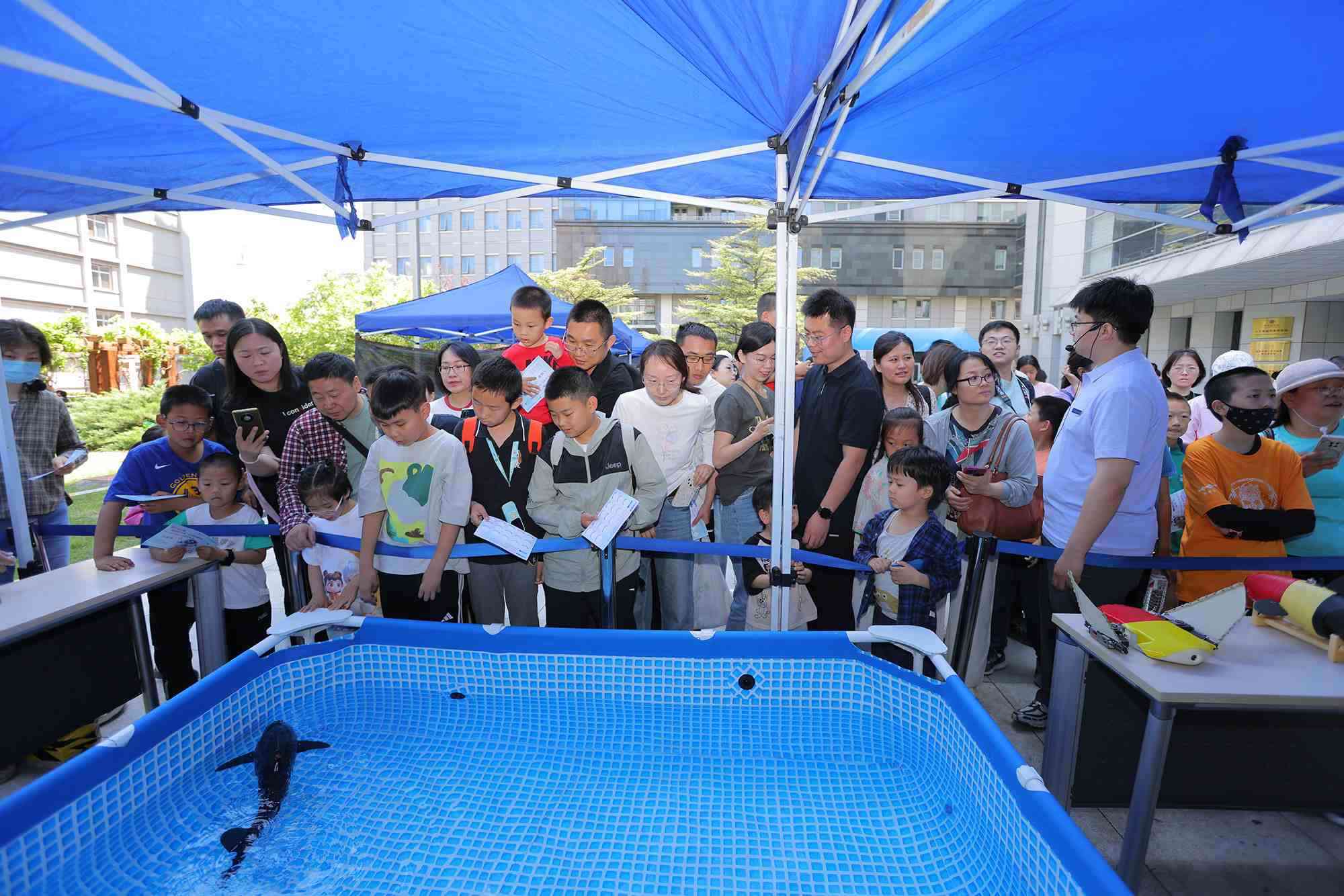 水下仿生機(jī)器魚(yú)在活動(dòng)現(xiàn)場(chǎng)大受歡迎。中國(guó)科學(xué)院自動(dòng)化研究所供圖